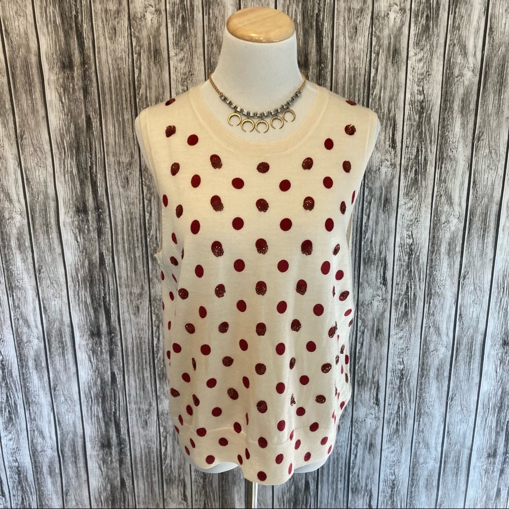 Jcrew merino wool sequined shell XL